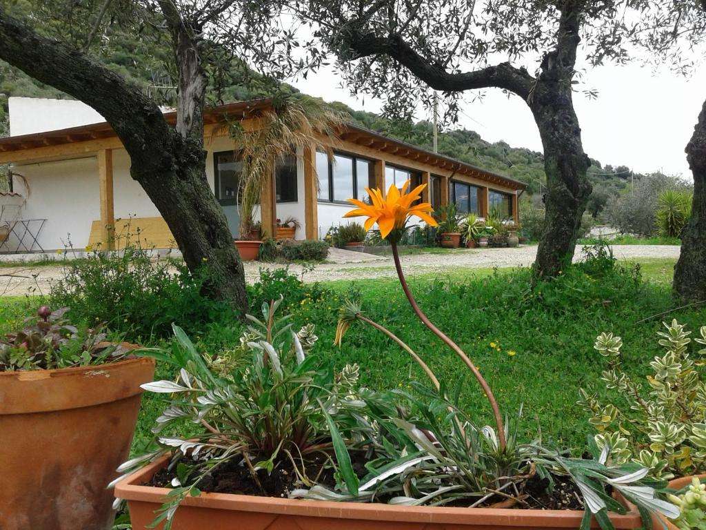 agriturismo locoe orgosolo