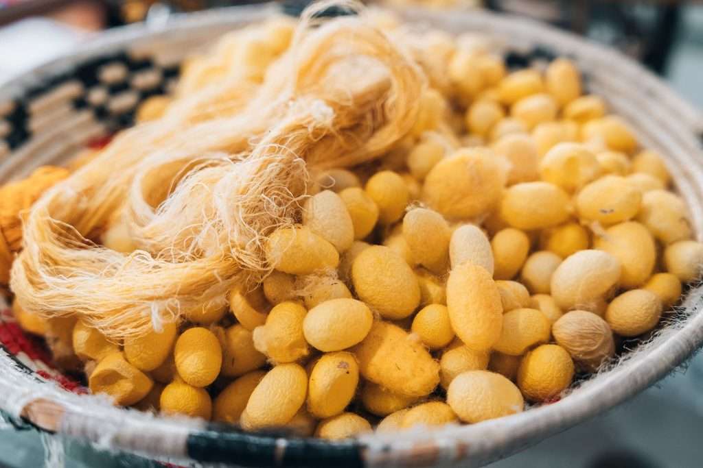 bozzoli e fili di seta gialla tipica di orgosolo