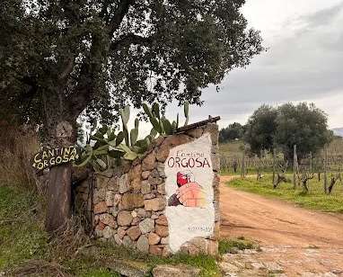 ingresso cantina orgosa