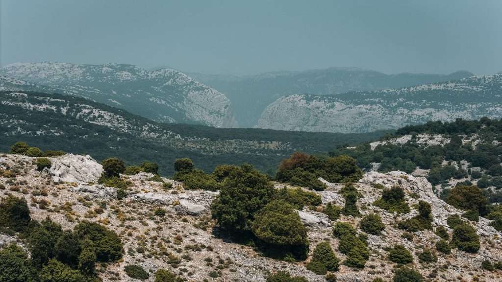 panorama sul canyon gorropu